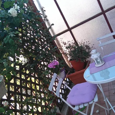 Il Punto